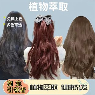染发剂自己在家染发膏女纯黑茶色植物2025流行色显白蓝黑色奶茶色