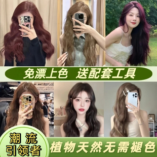 自己在家染发剂膏染头发2025女纯奶黑茶色紫红棕蓝黑色植物膏正品