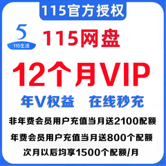 115会员1年12个月(4张3个月VIP券叠加年费) 115VIP会年员非18个月