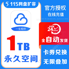 【官方充值】115网盘空间卡 1T空间扩容卡 非115会员 非115会年员