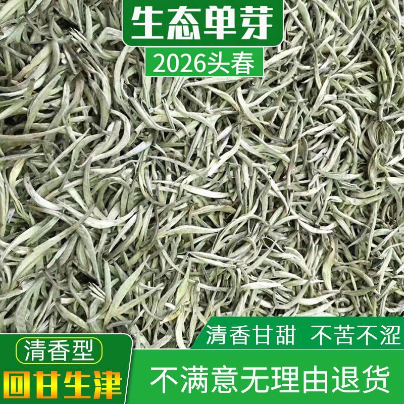 2026新茶单芽月光白普洱茶散茶图片