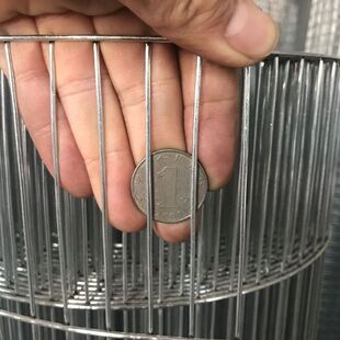 镀锌铁丝网鸟笼网养殖网鸡圈兔笼鸽子围网自制笼子材料镀锌钢丝网