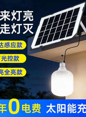 太阳能充电感应灯声控人体感应灯