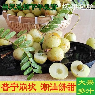 十年老店新鲜大油甘饼甜榨汁潮汕余柑子特产野孕妇水果云南滇橄榄