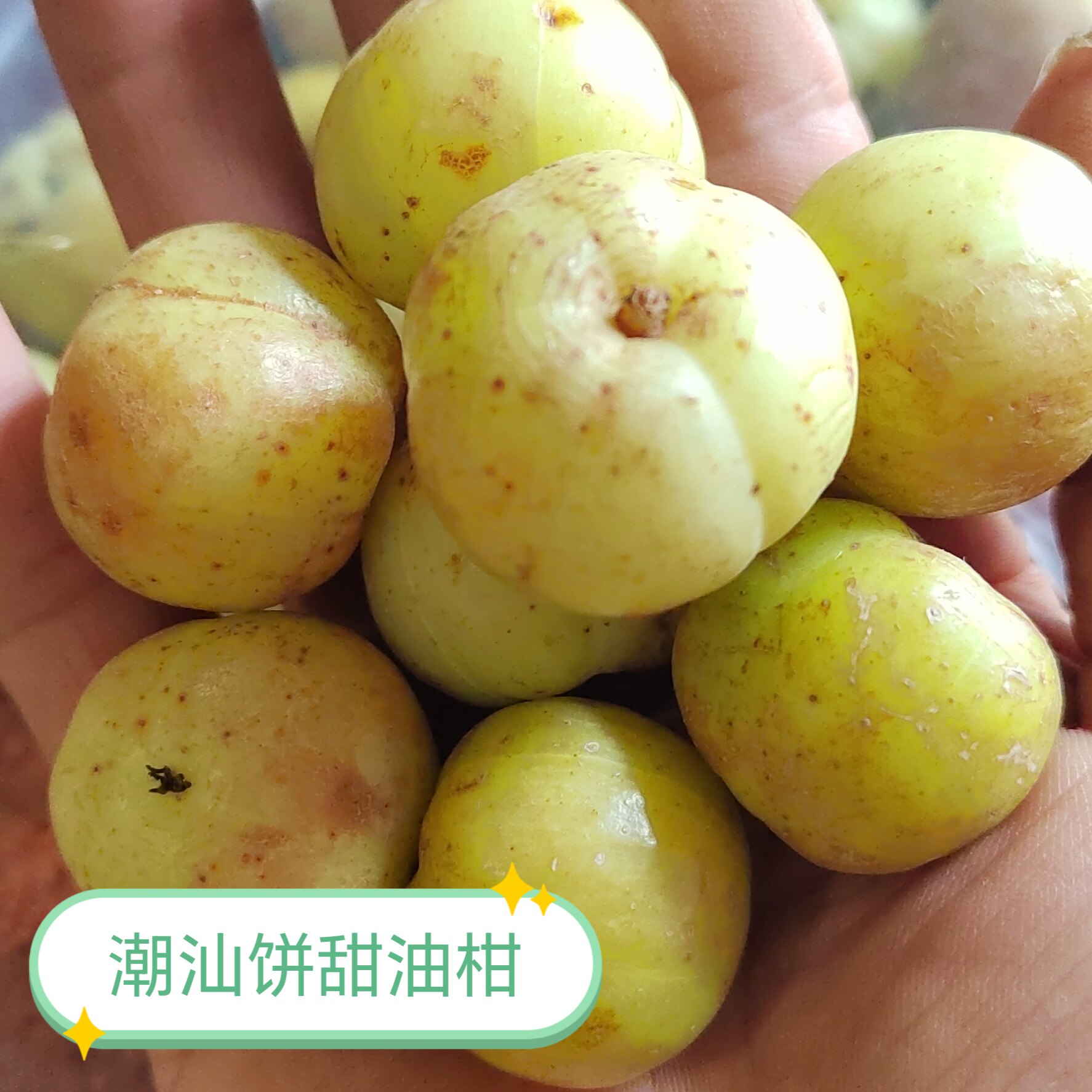 油甘果潮汕特产水果生津止渴润肺