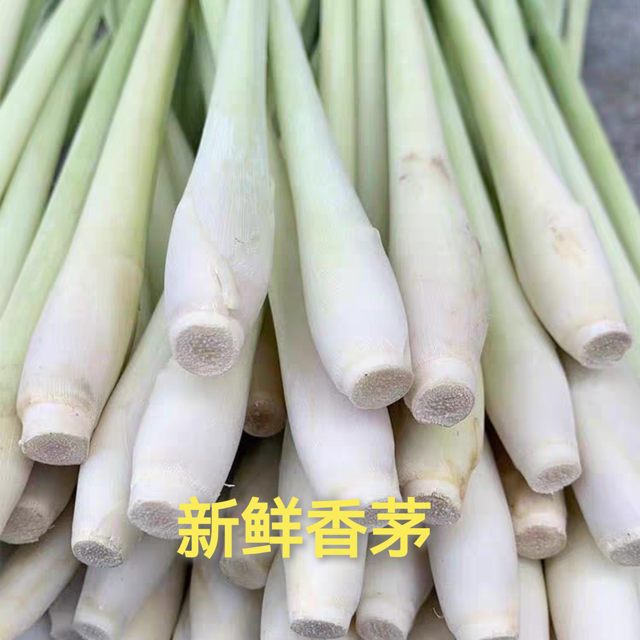 新鲜香茅草柠檬草可食用奶茶柠檬草调料泰国汤料香料