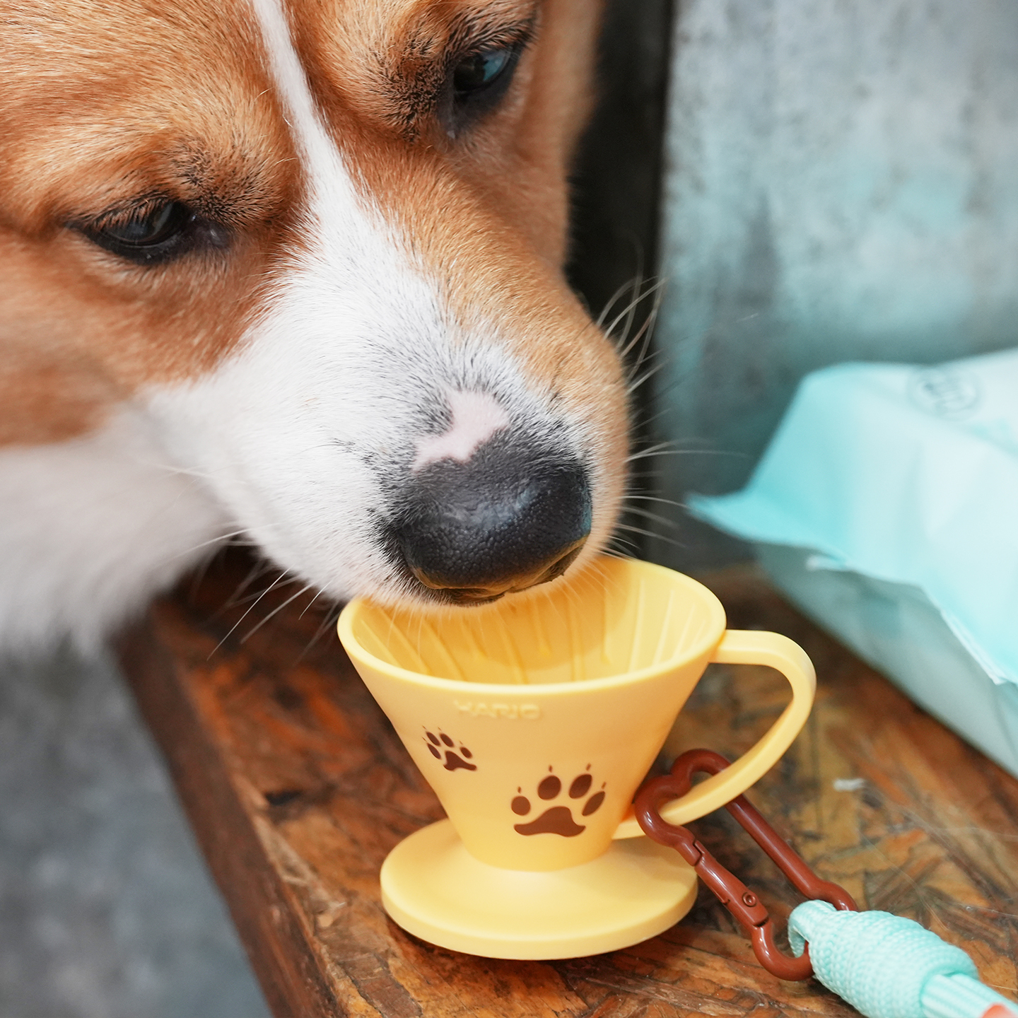 【旗舰店】HARIO品鉴杯迷你咖啡杯迷你杯V60宠物树脂试饮杯SVD