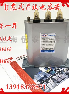 上海威斯康电力BSMJ0.45/0.4/0.415-15-3/1自愈式低压并联电容器