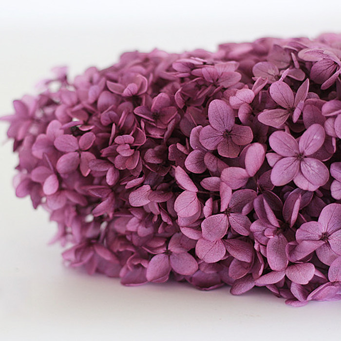 Spend eternity Preserved Flowers pagoda Lobular Viburnum macrocephalum diy Key buckle Car hitch DPM Dried flowers Material packagein the Flower delivery/Flowers simulation/Plants gardening , Spend eternity/Dried flowers , Spend eternity  category - from Buy2taobao.com to provide professional Taobao agent buy service