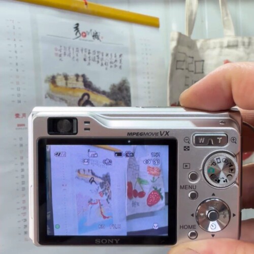 索尼（SONYDSC-W90 家用便携卡片相机，2007年2 ~议价