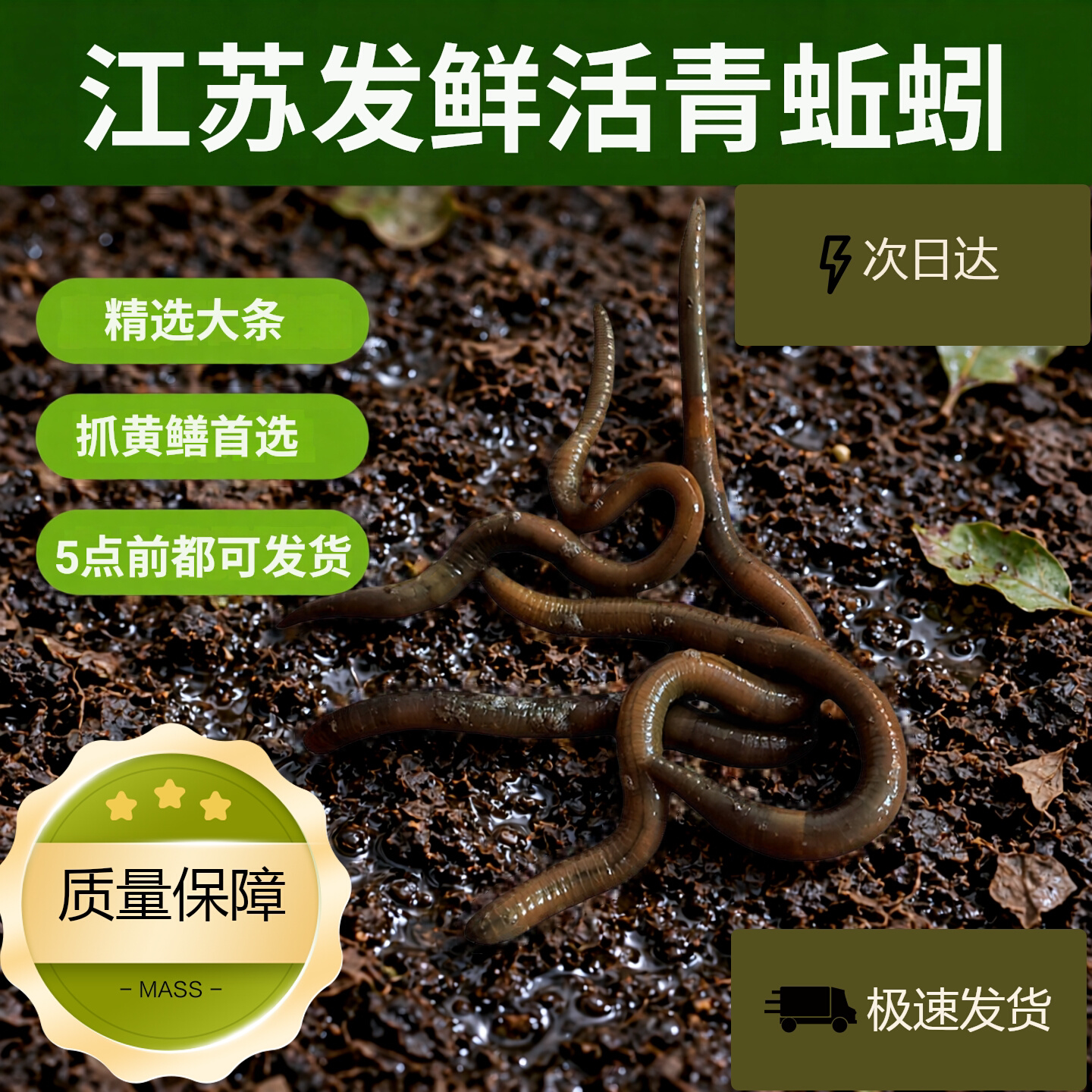 黑蚯蚓青蚯蚓特大蚯蚓钓鱼鱼饵垂钓钓黄鳝活饵活体臭蚯蚓野钓装备