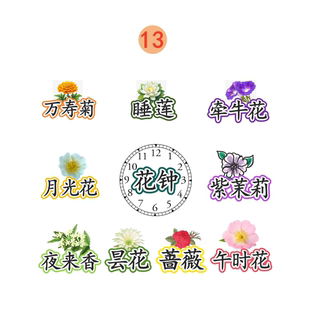 三年级花钟公开课教具磁吸板贴小学语文原创板书设计铜版纸塑封