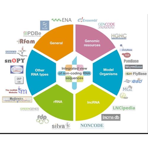 python问题解决bug修复远程代码调试django/flask/数据分析代编程
