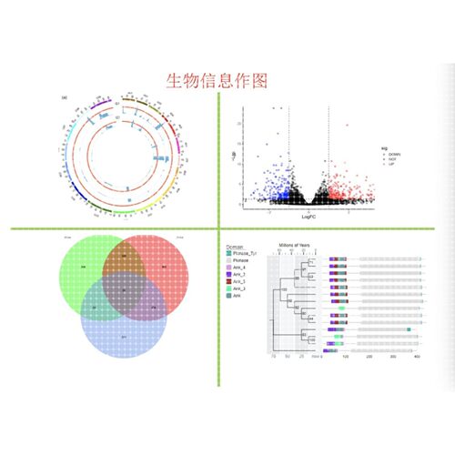 GO/KEGG/热图/circos作图/火山图/venn图/生物信息作图