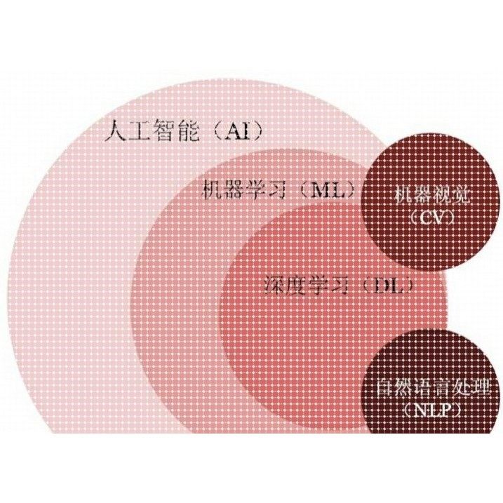 yolov8代做yolo代做目标检测yolo代码yolov11计算机视觉项目