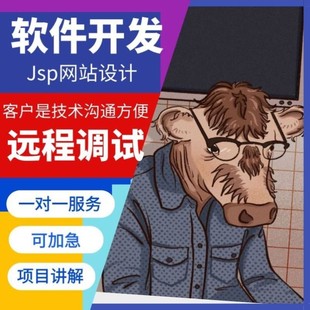 计算机软件开发jsp软件JAVA网站搭建Web项目设计VUE前端开发JAVA