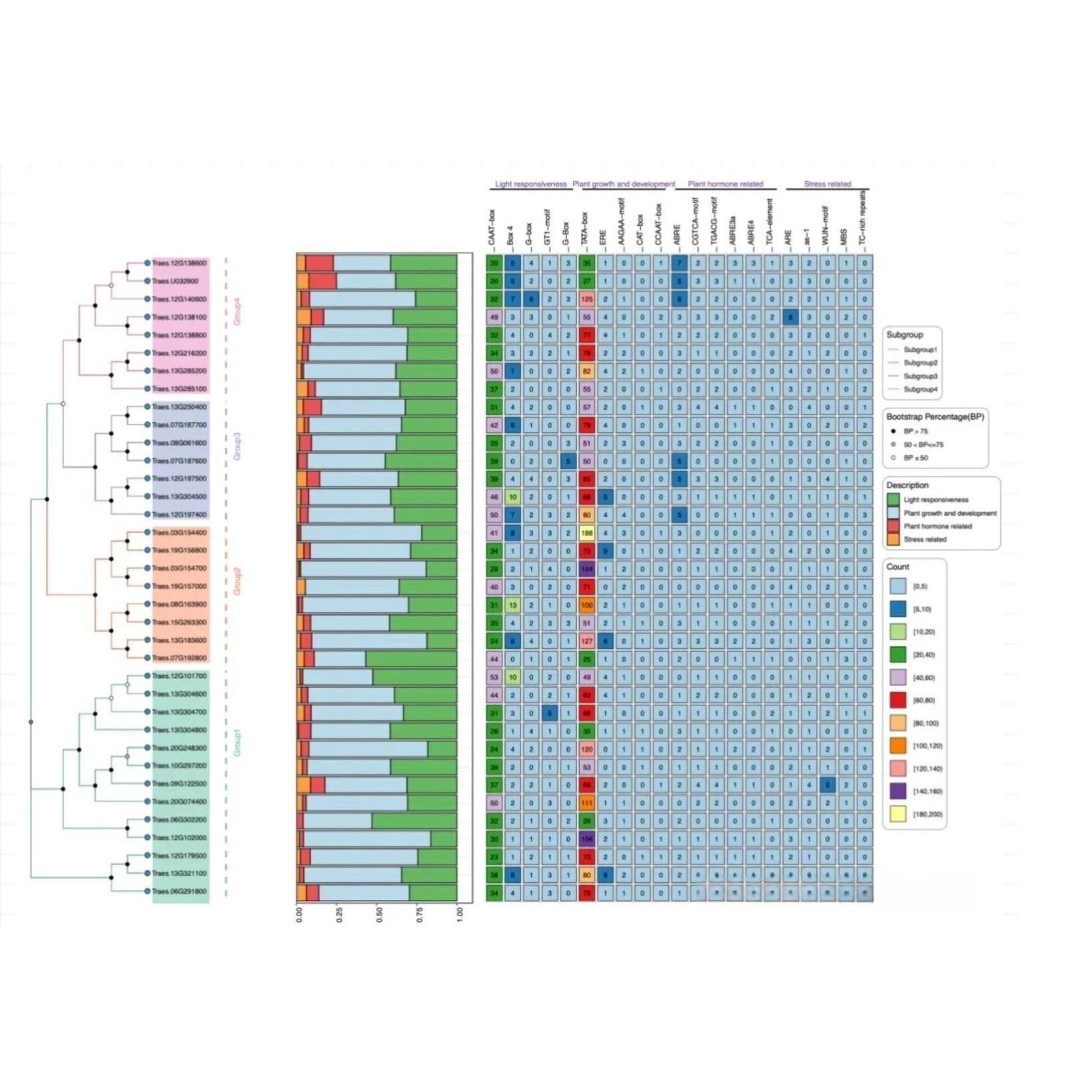 单细胞测序转录组r语言生物信息TCGA GEO数据库挖掘