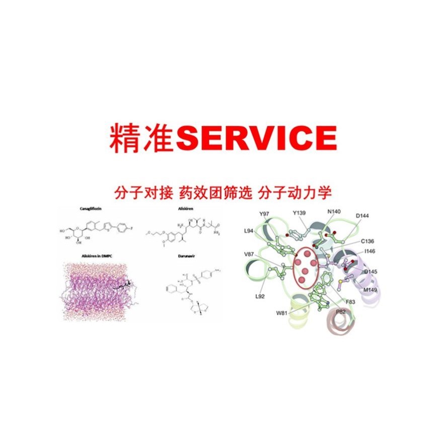 蛋白动力学模拟 Autodock分子对接 药效团筛选 一对一教学