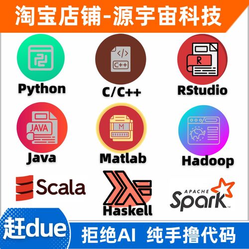 python算法大模型Matlab代编程spark大数据R语言java代做C++代码