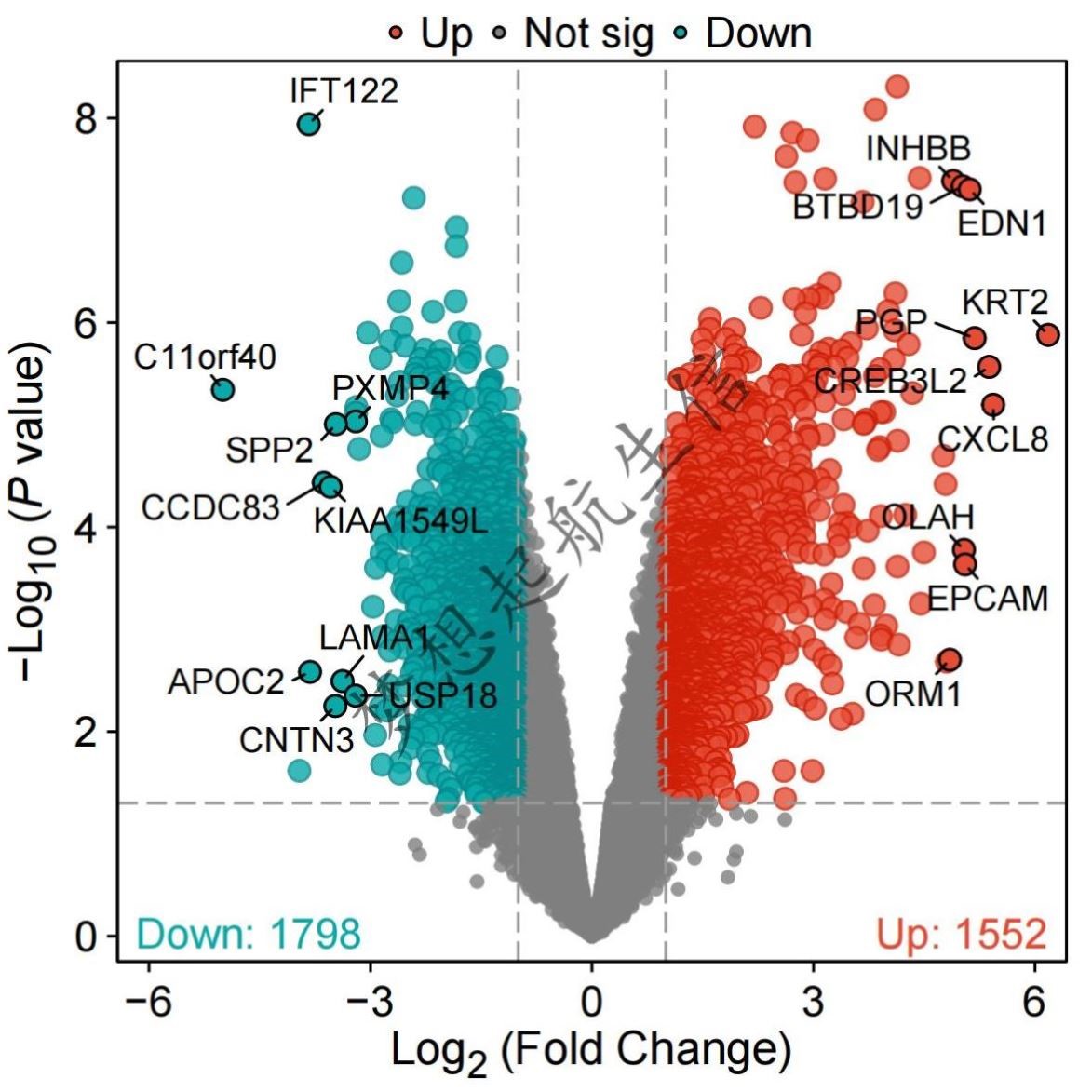 单细胞空间转录组分析结合深度学习AI算法服务