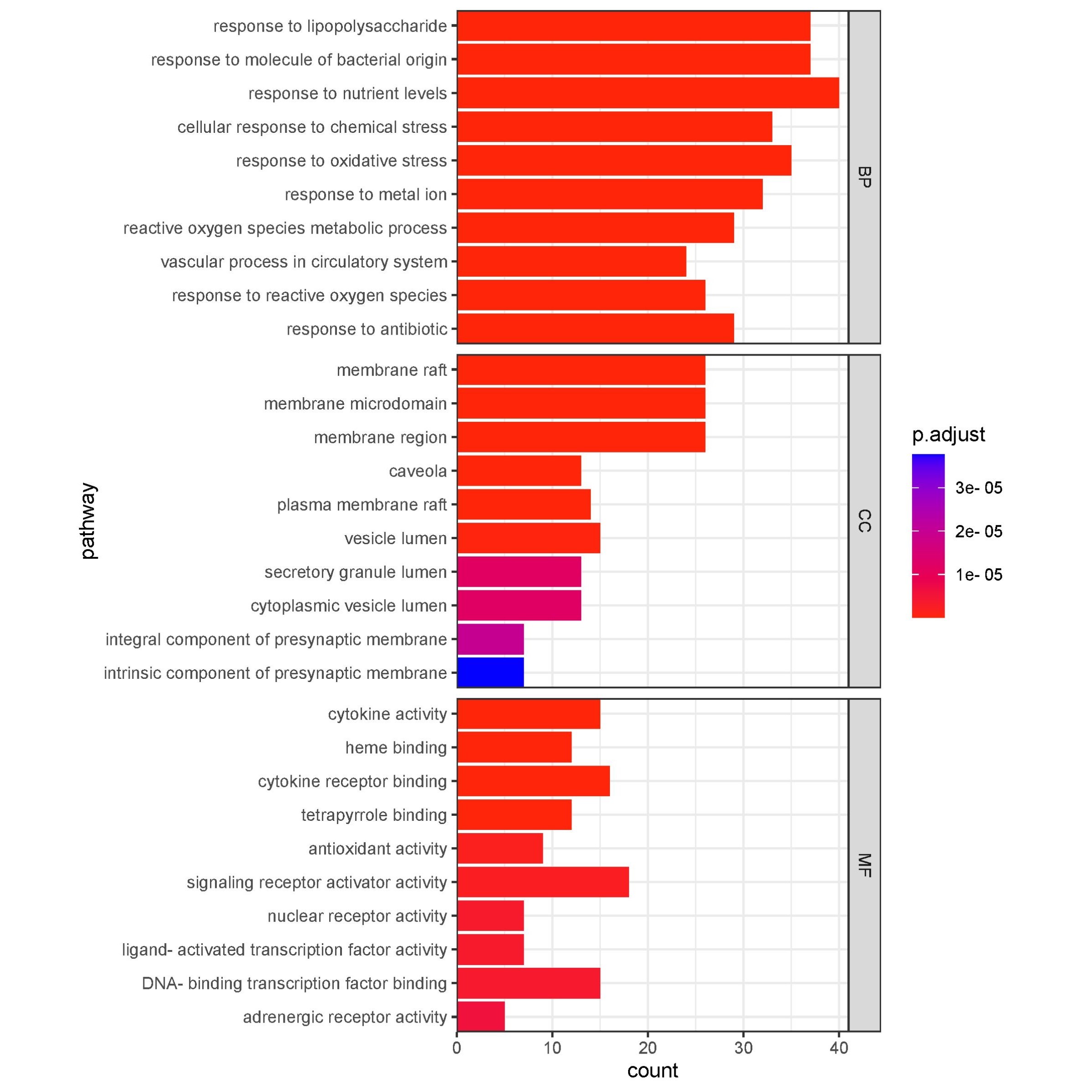 非编码RNA专题分析(miRNA/lncRNA/circRNA)机制研究