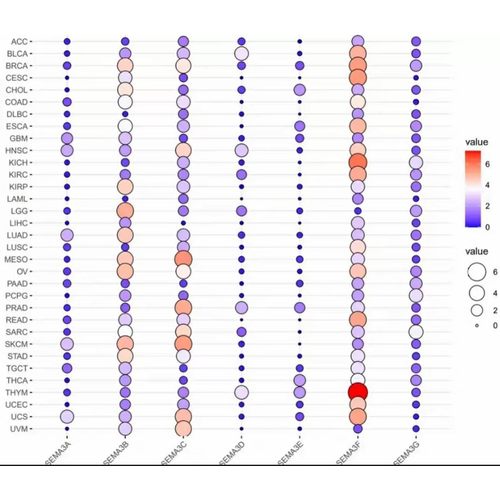 rstudio代做R语言辅导python写代码shiny可视化java编程r机器学习