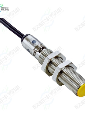 1091945[传感器IND -SICH SCHALT]