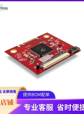 AC320214【SSD1963 GRAPHICS BOARD】开发板 套件 编程器
