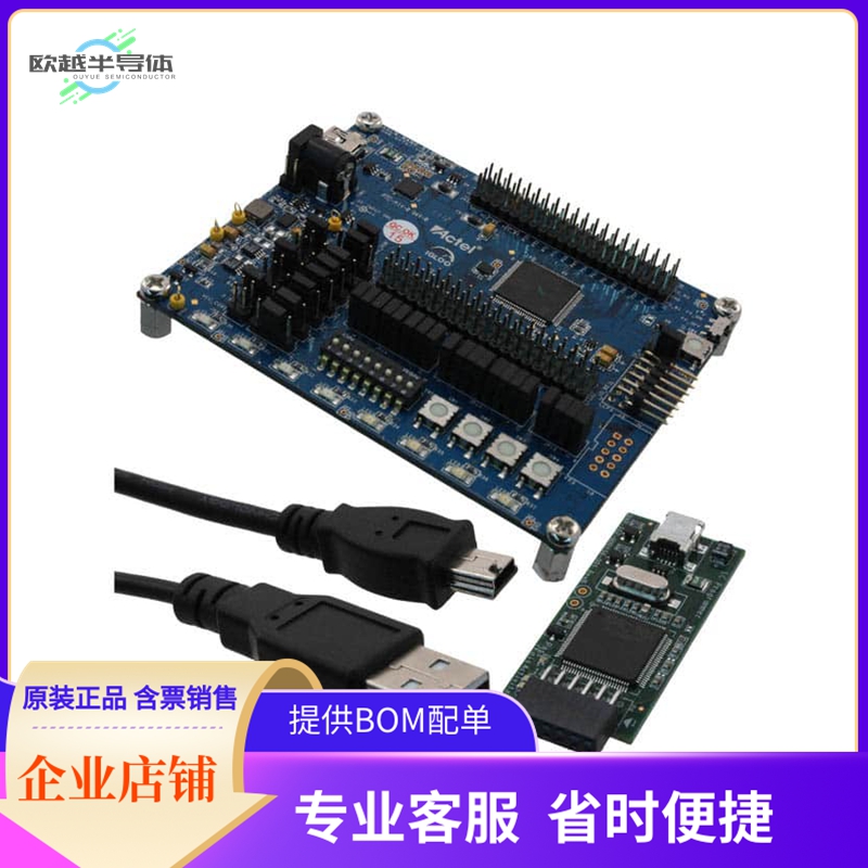 AGLN-NANO-KIT【KIT HARDWARE FOR AGLN-NANO】开发板 套件 编程