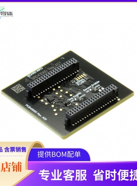 SLWRB4306D【MESH MODULE RADIO BOARD】开发板 套件 编程器