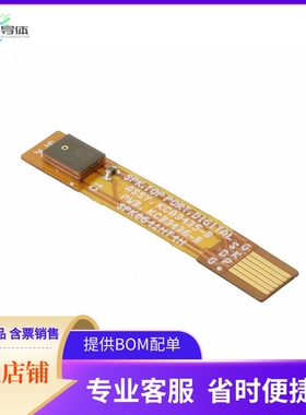 KAS-700-0151【RAMIS-B EVAL MIC ON 2PK】开发板 套件 编程器