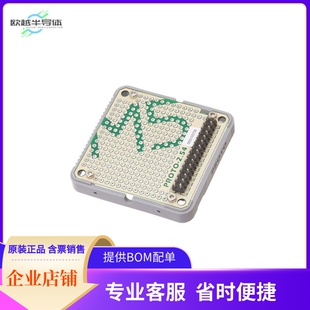 M001【PROTO MODULE WITH EXTENSIONS】开发板 套件 编程器
