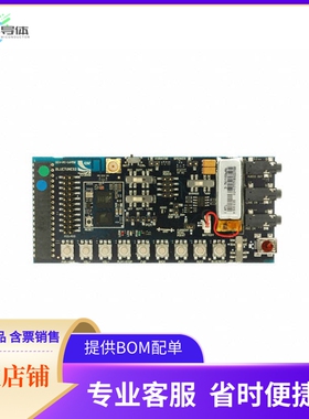 DEV-SYS-1645B3-1A【BOARD BLUECORE5-MULTIMEDIA】开发板 套件