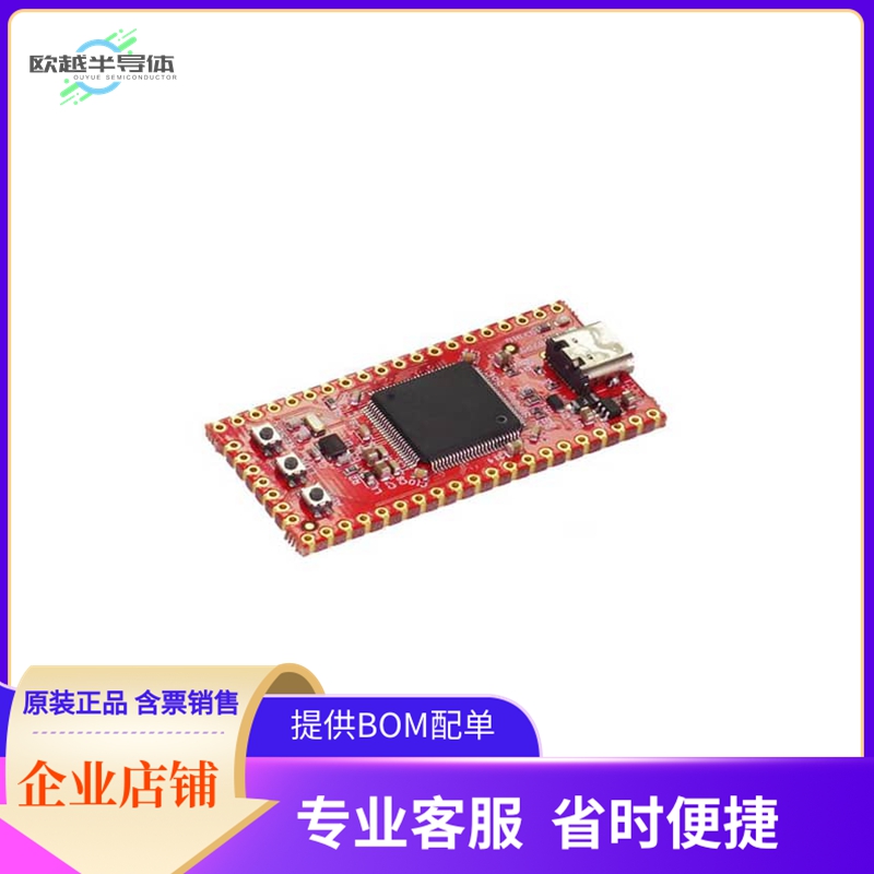 SCC-FSTK-B【SITCORE FEZ STICK SBC】开发板 套件 编程器