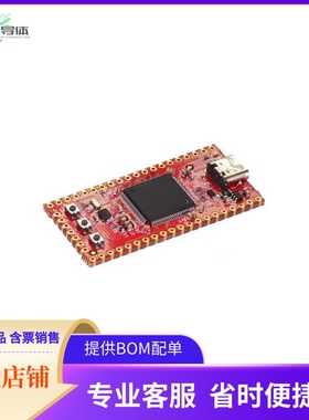 SCC-FSTK-B【SITCORE FEZ STICK SBC】开发板 套件 编程器