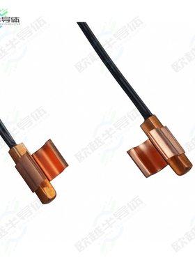 NPCPG103F3T1NDM02[传感器THERMISTOR NTC 10KOHM 3892K CLIP]