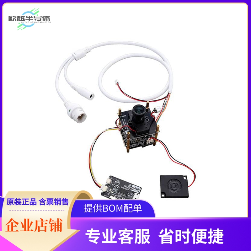 SNIPE-EB【SNIPE T31 EVAL BRD】开发板 套件 编程器