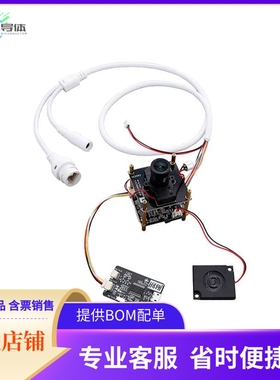 SNIPE-EB【SNIPE T31 EVAL BRD】开发板 套件 编程器