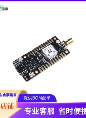 113990939【LORA-E5 MINI (STM32WLE5JC)】开发板 套件 编程器