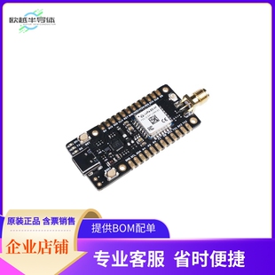 113990939【LORA-E5 MINI (STM32WLE5JC)】开发板 套件 编程器