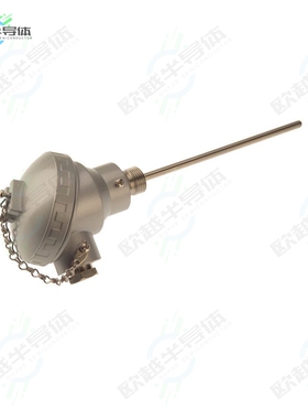 XE-3651-001[传感器PT100 4 WIRE CLASS B 6X500MM KNE]
