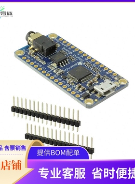 2220【SND BRD WAV/OGG TRIG 16MB HDPHN】开发板 套件 编程器