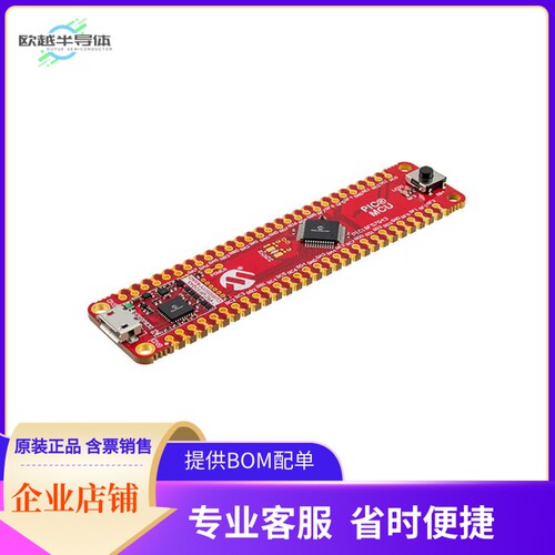 DM320119【SAMD21 CURIOSITY NANO BRD】开发板 套件 编程器