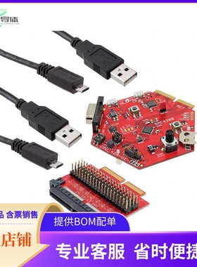 KITXMC42EE1001TOBO1【HEXAGON ENT KIT XMC4200 EVAL BRD】开发