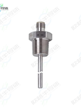 TM4341[传感器SENSOR RTD CYLINDER]