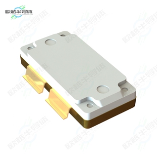 BLM8D1822S-50PBGY[射频元件RF MOSFET LDMOS 28V 16-HSOP]