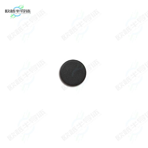 420640527-0108801[射频元件METAL TAG-D10-ICODE SLIX]