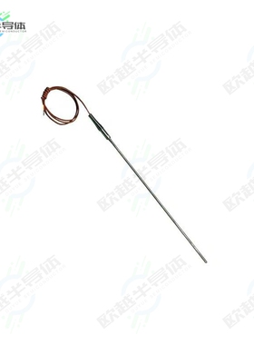 TJ36-CAIN-18U-6[传感器TRANSITION JOINT T/C PROBE, RUGG]