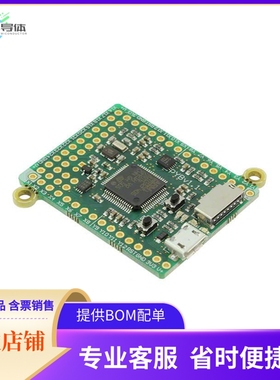 2390【PYBOARD V1.1 STM32F405 NO HEADER】开发板 套件 编程器