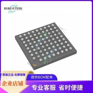 005ASGI 1.00M CABGA 10.00X10.00X1.40 8T49N244A